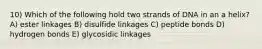 10) Which of the following hold two strands of DNA in an a helix? A) ester linkages B) disulfide linkages C) peptide bonds D) hydrogen bonds E) glycosidic linkages