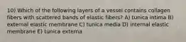 10) Which of the following layers of a vessel contains collagen fibers with scattered bands of elastic fibers? A) tunica intima B) external elastic membrane C) tunica media D) internal elastic membrane E) tunica externa