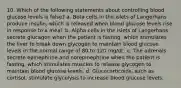 10. Which of the following statements about controlling blood glucose levels is false? a. Beta cells in the islets of Langerhans produce insulin, which is released when blood glucose levels rise in response to a meal. b. Alpha cells in the islets of Langerhans secrete glucagon when the patient is fasting, which stimulates the liver to break down glycogen to maintain blood glucose levels in the normal range of 80 to 120 mg/dL. c. The adrenals secrete epinephrine and norepinephrine when the patient is fasting, which stimulates muscles to release glycogen to maintain blood glucose levels. d. Glucocorticoids, such as cortisol, stimulate glycolysis to increase blood glucose levels.