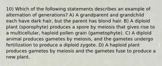 10) Which of the following statements describes an example of alternation of generations? A) A grandparent and grandchild each have dark hair, but the parent has blond hair. B) A diploid plant (sporophyte) produces a spore by meiosis that gives rise to a multicellular, haploid pollen grain (gametophyte). C) A diploid animal produces gametes by meiosis, and the gametes undergo fertilization to produce a diploid zygote. D) A haploid plant produces gametes by meiosis and the gametes fuse to produce a new plant.