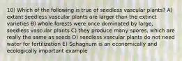 10) Which of the following is true of seedless vascular plants? A) extant seedless vascular plants are larger than the extinct varieties B) whole forests were once dominated by large, seedless vascular plants C) they produce many spores, which are really the same as seeds D) seedless vascular plants do not need water for fertilization E) Sphagnum is an economically and ecologically important example