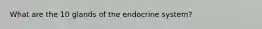 What are the 10 glands of the endocrine system?