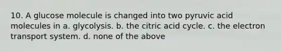 10. A glucose molecule is changed into two pyruvic acid molecules in a. glycolysis. b. the citric acid cycle. c. the electron transport system. d. none of the above