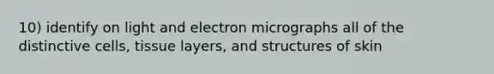 10) identify on light and electron micrographs all of the distinctive cells, tissue layers, and structures of skin