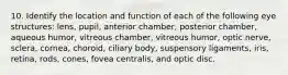 10. Identify the location and function of each of the following eye structures: lens, pupil, anterior chamber, posterior chamber, aqueous humor, vitreous chamber, vitreous humor, optic nerve, sclera, cornea, choroid, ciliary body, suspensory ligaments, iris, retina, rods, cones, fovea centralis, and optic disc.