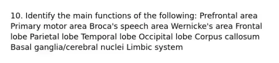 10. Identify the main functions of the following: Prefrontal area Primary motor area Broca's speech area Wernicke's area Frontal lobe Parietal lobe Temporal lobe Occipital lobe Corpus callosum Basal ganglia/cerebral nuclei Limbic system