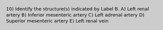 10) Identify the structure(s) indicated by Label B. A) Left renal artery B) Inferior mesenteric artery C) Left adrenal artery D) Superior mesenteric artery E) Left renal vein