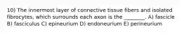 10) The innermost layer of connective tissue fibers and isolated fibrocytes, which surrounds each axon is the ________. A) fascicle B) fasciculus C) epineurium D) endoneurium E) perineurium