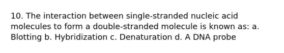 10. The interaction between single-stranded nucleic acid molecules to form a double-stranded molecule is known as: a. Blotting b. Hybridization c. Denaturation d. A DNA probe