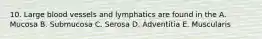 10. Large blood vessels and lymphatics are found in the A. Mucosa B. Submucosa C. Serosa D. Adventitia E. Muscularis