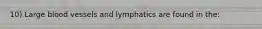 10) Large blood vessels and lymphatics are found in the: