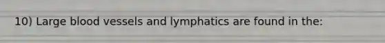 10) Large blood vessels and lymphatics are found in the: