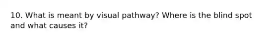 10. What is meant by visual pathway? Where is the blind spot and what causes it?