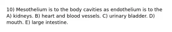 10) Mesothelium is to the body cavities as endothelium is to the A) kidneys. B) heart and blood vessels. C) urinary bladder. D) mouth. E) large intestine.