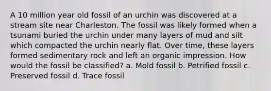 A 10 million year old fossil of an urchin was discovered at a stream site near Charleston. The fossil was likely formed when a tsunami buried the urchin under many layers of mud and silt which compacted the urchin nearly flat. Over time, these layers formed sedimentary rock and left an organic impression. How would the fossil be classified? a. Mold fossil b. Petrified fossil c. Preserved fossil d. Trace fossil