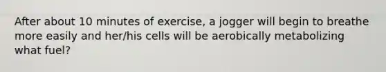 After about 10 minutes of exercise, a jogger will begin to breathe more easily and her/his cells will be aerobically metabolizing what fuel?