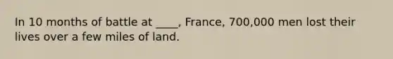 In 10 months of battle at ____, France, 700,000 men lost their lives over a few miles of land.