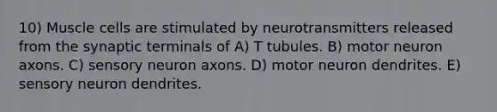 10) Muscle cells are stimulated by neurotransmitters released from the synaptic terminals of A) T tubules. B) motor neuron axons. C) sensory neuron axons. D) motor neuron dendrites. E) sensory neuron dendrites.