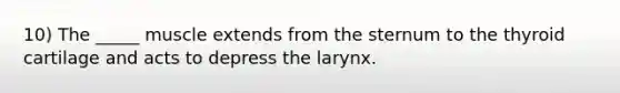 10) The _____ muscle extends from the sternum to the thyroid cartilage and acts to depress the larynx.