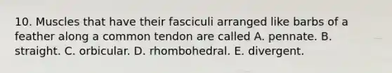 10. Muscles that have their fasciculi arranged like barbs of a feather along a common tendon are called A. pennate. B. straight. C. orbicular. D. rhombohedral. E. divergent.