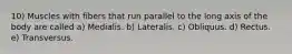 10) Muscles with fibers that run parallel to the long axis of the body are called a) Medialis. b) Lateralis. c) Obliquus. d) Rectus. e) Transversus.