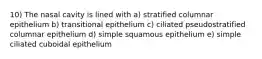 10) The nasal cavity is lined with a) stratified columnar epithelium b) transitional epithelium c) ciliated pseudostratified columnar epithelium d) simple squamous epithelium e) simple ciliated cuboidal epithelium