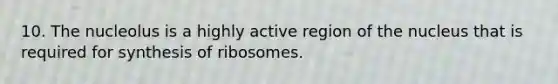 10. The nucleolus is a highly active region of the nucleus that is required for synthesis of ribosomes.