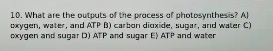 10. What are the outputs of the process of photosynthesis? A) oxygen, water, and ATP B) carbon dioxide, sugar, and water C) oxygen and sugar D) ATP and sugar E) ATP and water