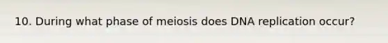 10. During what phase of meiosis does DNA replication occur?