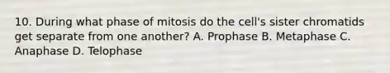 10. During what phase of mitosis do the cell's sister chromatids get separate from one another? A. Prophase B. Metaphase C. Anaphase D. Telophase