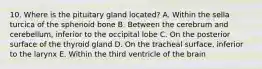 10. Where is the pituitary gland located? A. Within the sella turcica of the sphenoid bone B. Between the cerebrum and cerebellum, inferior to the occipital lobe C. On the posterior surface of the thyroid gland D. On the tracheal surface, inferior to the larynx E. Within the third ventricle of the brain