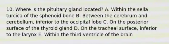 10. Where is the pituitary gland located? A. Within the sella turcica of the sphenoid bone B. Between the cerebrum and cerebellum, inferior to the occipital lobe C. On the posterior surface of the thyroid gland D. On the tracheal surface, inferior to the larynx E. Within the third ventricle of the brain