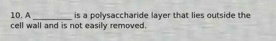 10. A __________ is a polysaccharide layer that lies outside the cell wall and is not easily removed.