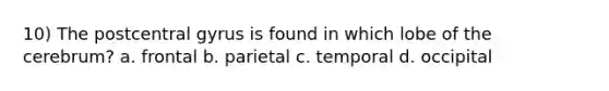 10) The postcentral gyrus is found in which lobe of the cerebrum? a. frontal b. parietal c. temporal d. occipital