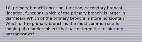 10. primary bronchi (location, function) secondary bronchi (location, function) Which of the primary bronchi is larger in diameter? Which of the primary bronchi is more horizontal? Which of the primary bronchi is the most common site for lodging of a foreign object that has entered the respiratory passageways?