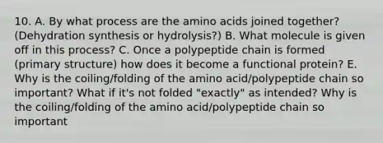 10. A. By what process are the amino acids joined together? (Dehydration synthesis or hydrolysis?) B. What molecule is given off in this process? C. Once a polypeptide chain is formed (primary structure) how does it become a functional protein? E. Why is the coiling/folding of the amino acid/polypeptide chain so important? What if it's not folded "exactly" as intended? Why is the coiling/folding of the amino acid/polypeptide chain so important