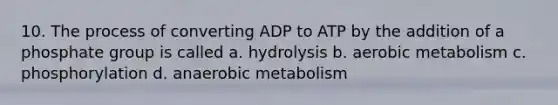 10. The process of converting ADP to ATP by the addition of a phosphate group is called a. hydrolysis b. aerobic metabolism c. phosphorylation d. anaerobic metabolism