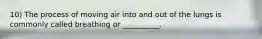 10) The process of moving air into and out of the lungs is commonly called breathing or __________.