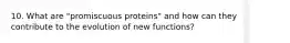 10. What are "promiscuous proteins" and how can they contribute to the evolution of new functions?