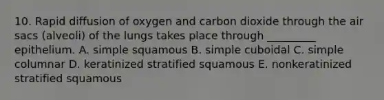 10. Rapid diffusion of oxygen and carbon dioxide through the air sacs (alveoli) of the lungs takes place through _________ epithelium. A. simple squamous B. simple cuboidal C. simple columnar D. keratinized stratified squamous E. nonkeratinized stratified squamous