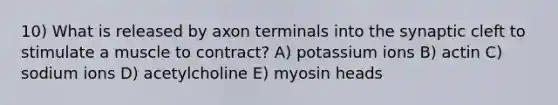 10) What is released by axon terminals into the synaptic cleft to stimulate a muscle to contract? A) potassium ions B) actin C) sodium ions D) acetylcholine E) myosin heads