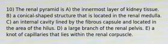 10) The renal pyramid is A) the innermost layer of kidney tissue. B) a conical-shaped structure that is located in the renal medulla. C) an internal cavity lined by the fibrous capsule and located in the area of the hilus. D) a large branch of the renal pelvis. E) a knot of capillaries that lies within the renal corpuscle.