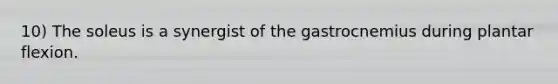 10) The soleus is a synergist of the gastrocnemius during plantar flexion.