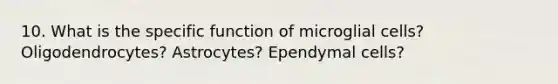 10. What is the specific function of microglial cells? Oligodendrocytes? Astrocytes? Ependymal cells?