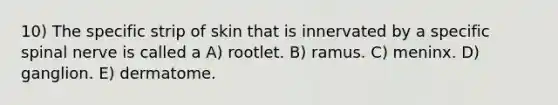 10) The specific strip of skin that is innervated by a specific spinal nerve is called a A) rootlet. B) ramus. C) meninx. D) ganglion. E) dermatome.