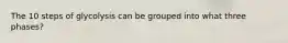 The 10 steps of glycolysis can be grouped into what three phases?