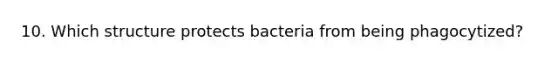 10. Which structure protects bacteria from being phagocytized?