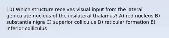 10) Which structure receives visual input from the lateral geniculate nucleus of the ipsilateral thalamus? A) red nucleus B) substantia nigra C) superior colliculus D) reticular formation E) inferior colliculus