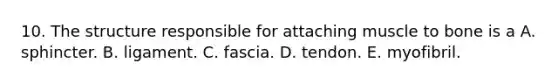 10. The structure responsible for attaching muscle to bone is a A. sphincter. B. ligament. C. fascia. D. tendon. E. myofibril.