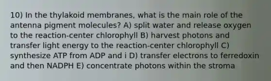 10) In the thylakoid membranes, what is the main role of the antenna pigment molecules? A) split water and release oxygen to the reaction-center chlorophyll B) harvest photons and transfer light energy to the reaction-center chlorophyll C) synthesize ATP from ADP and i D) transfer electrons to ferredoxin and then NADPH E) concentrate photons within the stroma